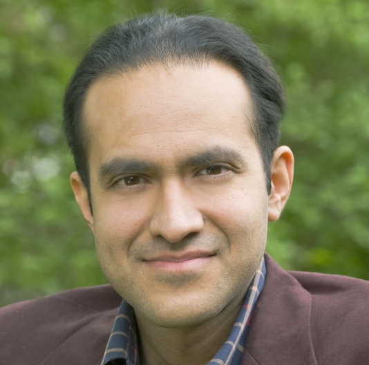 professor Saleem Ali